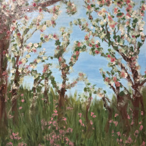 Les cerisiers du printemps