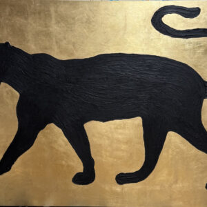 Umbra Furtiva